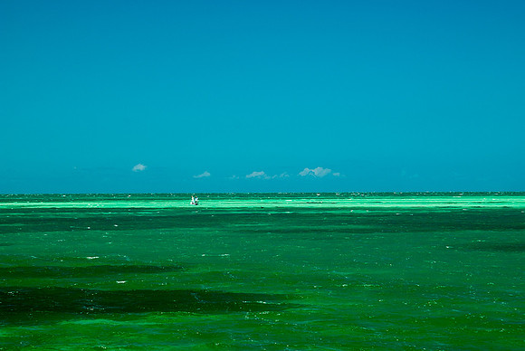 20100522_KeysBrooks_0065
