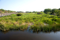 Wakodahatchee, Del Ray, Florida
