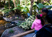 Zoo Miami