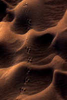 S444-10