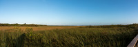 Everglades Panorama