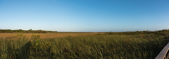 Everglades Panorama