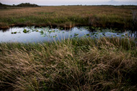Everglades National Park
