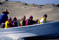S443.15_Baja