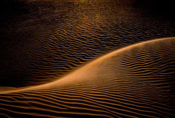 Early morning abstract S-curve in the Baja dunes