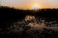 Sunrise on Taylor Slough