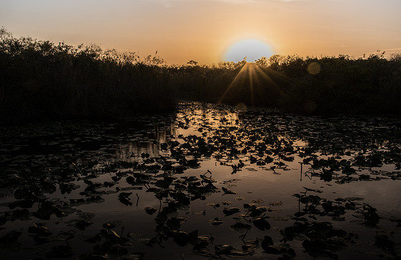 Sunrise on Taylor Slough