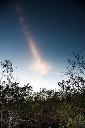 Everglades sky and clouds