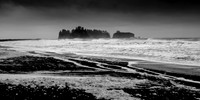20100924_PNW143