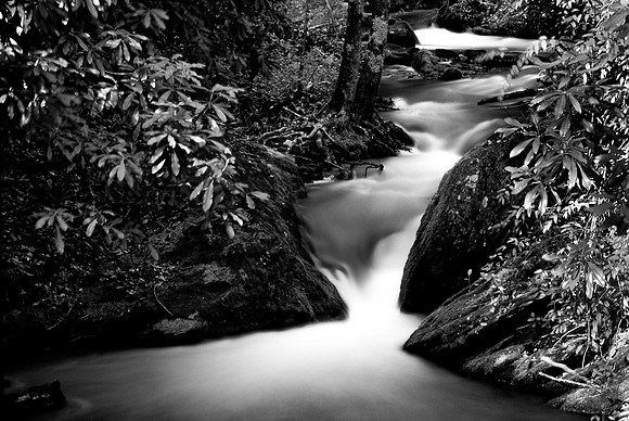 Monochrome of Deep Creek, Cades Cove