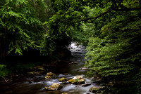 20080713_07_GSMNP