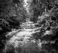 BigCreek