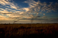 20110116-20110116__ENP_0137