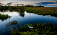 Dusk at Anhinga Trail, Everglades National Park